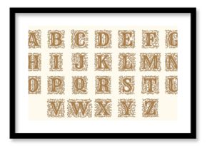 Decorative alphabet. Ornate hand drawn letters for luxury vintage alphabet recent vector royal font template