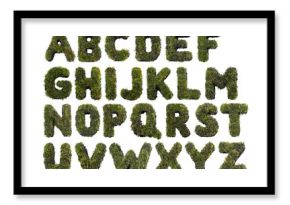 Grass alphabet