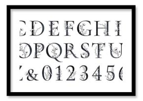 Black watercolor floral alphabet, monogram letters with line art flowers, buds and leaves, botanical alphabet isolated on white background