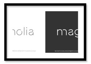 Elegant Font. Luxurious Glamour Exclusive Light Regular Font. Uppercase Lowercase and Number. Minimal Fashion Design 