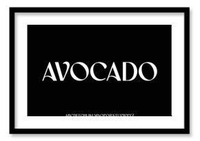 Elegant luxury organic display font vector