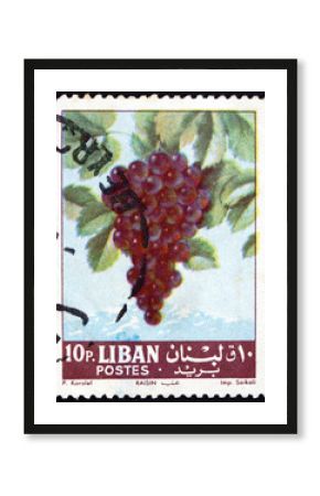 Postage stamp Lebanon 1962 Grapes, Fruiting Berry