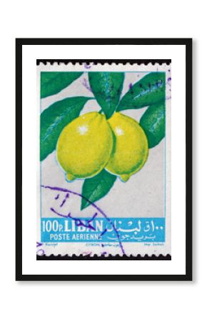 Postage stamp Lebanon 1962 Lemons, Fruit Tree