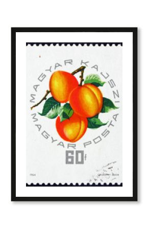 Postage stamp Hungary 1964 Apricot, fruit