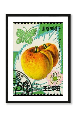 Apricots on postage stamp