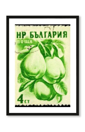 Quince on postage stamp