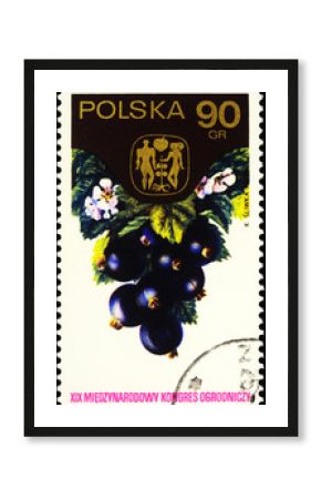 Blackcurrant on postage stamp