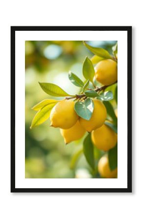 Lemon branch botanical fruit art vertical