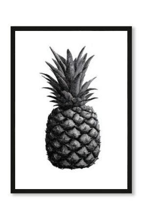 Vintage Pineapple In Retro Engraving. Botanical Illustration Isolated On Transparent Background
