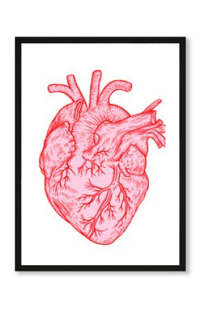 Hand drawn decorative heart. Pink vintage engraving illustration isolated. For poster, info graphic. Hand-drawn illustration in retro engraving style. Valentine's day concept.