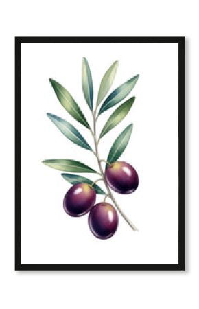 Watercolor painting of a branch with black olives and green leaves isolated on transparent background. Realistic olive branch with three dark purple olives and green leaves