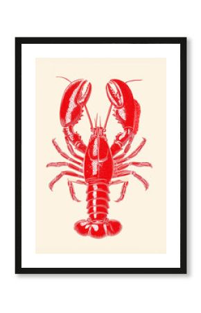 Red lobster illustration seafood crustacean shellfish claw tail antennae