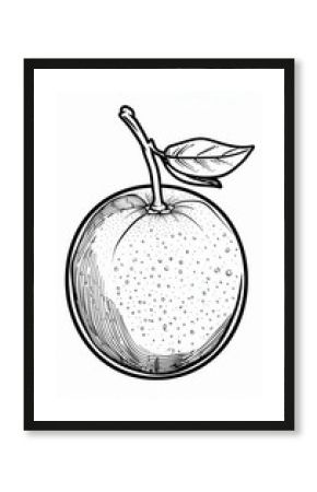 Hand-drawn orange with leaf. Vintage style citrus fruit illustration. Ideal for food packaging labels menus or recipe books.