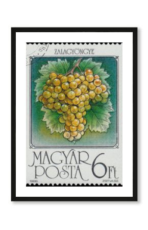 Stamp printed by Hungary shows Grapes