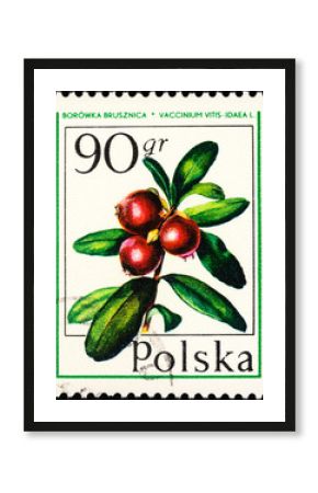 Red bilberries or cowberry on postage stamp