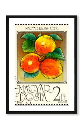 Apricots on postage stamp