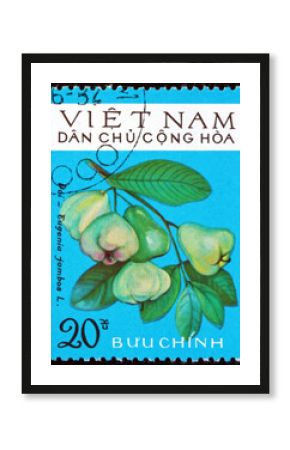 Postage stamp Vietnam 1975 edible fruit of rose apple