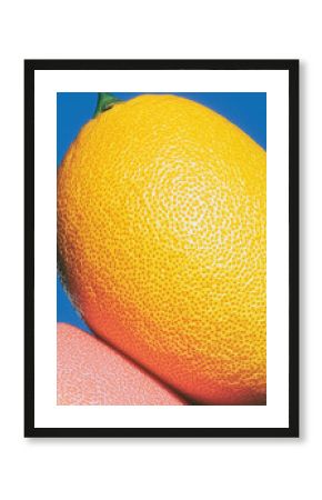 lemon, vitamin c - pop art style, color block – ideal for vitamin c ads, health campaigns, creative posters, or vibrant packaging design