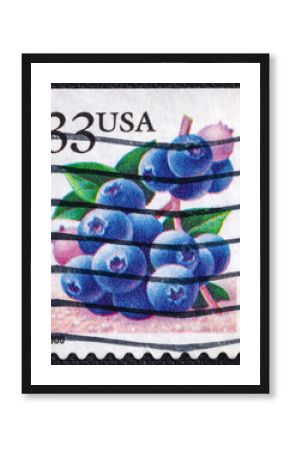 Blueberries on a 1999 USA vintage postage stamp