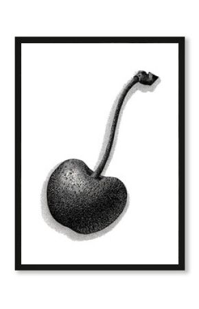 Vintage Cherry In Retro Engraving. Fruit For Nostalgic Aesthetics Illustration Isolated On Transparent Background