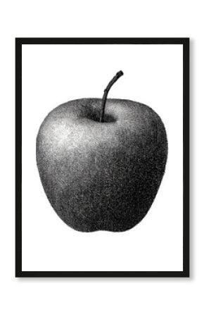 Vintage Apple Illustration In Retro Engraving. Fruit For Nostalgic Aesthetics Isolated On Transparent Background