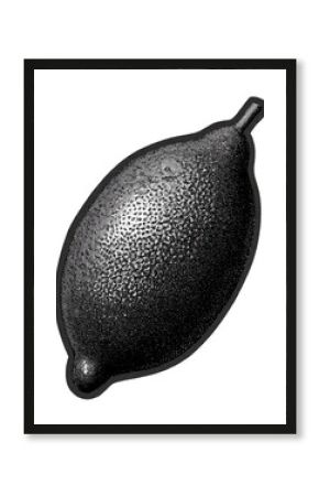 Vintage Citrus Fruit In Retro Engraving. Whole Lemon Illustration Isolated On Transparent Background