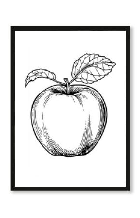 Detailed line drawing of an apple with leaves