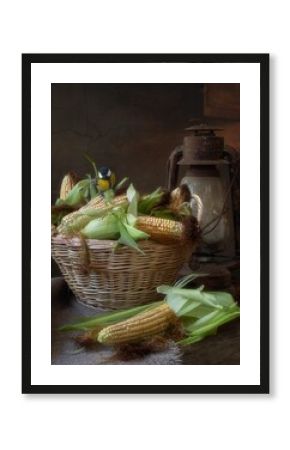 Still life with corn cobs and old lantern