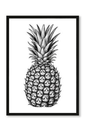 Detailed Black and White Pineapple Illustration.