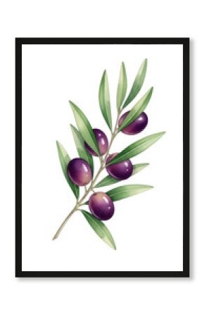 Watercolor painting of a branch with ripe black olives isolated on transparent background. Beautifully rendered olive branch with ripe purple olives detailed artwork