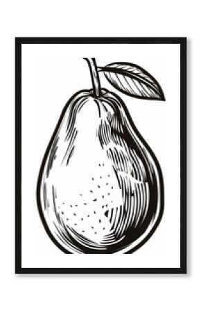 Hand-drawn pear illustration in vintage style. Ideal for food labels, packaging, or menu designs. Adds a rustic touch to any project.