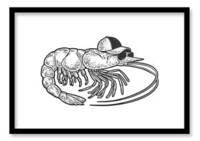 Cartoon shrimp sketch raster illustration