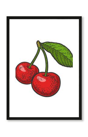 sweet cherry sketch raster illustration