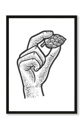 hop cone in hand sketch engraving raster illustration. T-shirt apparel print design. Scratch board imitation. Black and white hand drawn image.