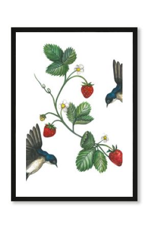 Watercolor pattern of illustrations of a swallow and a strawberry. Hand drawn, isolated on transparent background