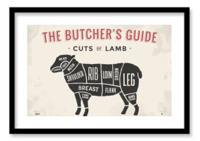 Cut of beef set. Poster Butcher diagram and scheme - Lamb