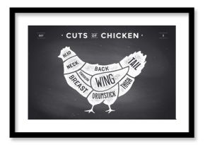 Cut of meat set. Poster Butcher diagram and scheme - Chicken. Vintage typographic hand-drawn. illustration.