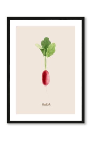 Handpainted watercolor poster with radish