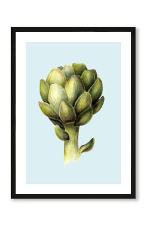 Green artichoke. Fresh food. Organic vegetarian. Watercolor botanical illustration. Isolated object on light blue background. Hand painted poster or print. Realistic vintage style.