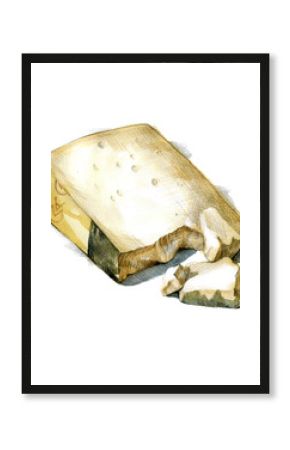 Pecorino cheese watercolor illustration on white background