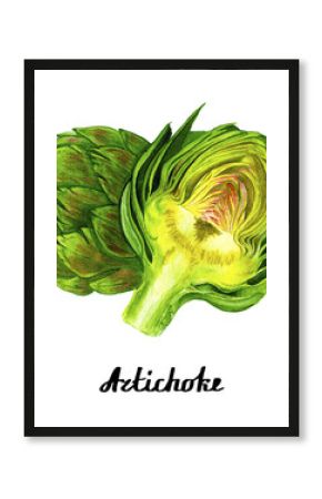 Coloured watercolour artichoke poster