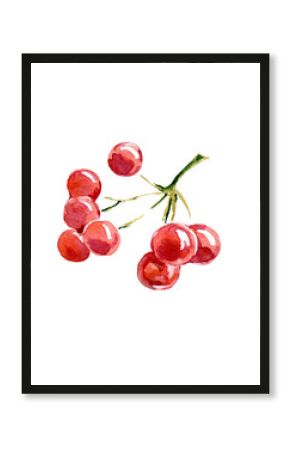 Watercolor hand-paint. Brush with red berries decor for the holiday. Illustration isolated on white.