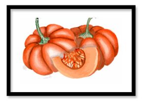 Drawing pumpkin, orange pumpkin, vegetables art