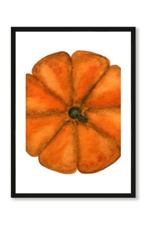 Bright picture with the image of painted pumpkin. Close-up, view from above, no people. Watercolor paint. Concept of delicious and healthy food