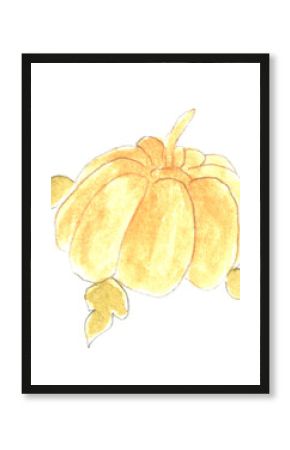 Pumpkin, food, halloween. Watercolor illustration, hand drawn modern freehand new