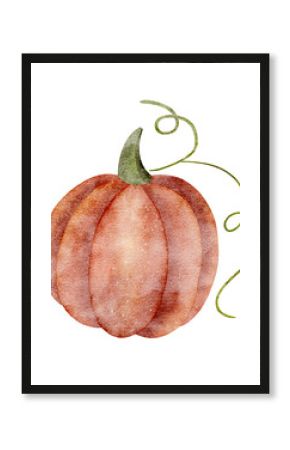 Pumpkin orange, autumn harvest. Watercolor illustration red vegetable hand-drawn on isolated background in vintage style for cards, poster, holiday, clothes, dishes, festival, halloween, thanksgiving
