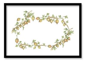 Watercolor Illustration of Gooseberries Frame, hand painted botanical berries border, flora garden harvest wreath clip art