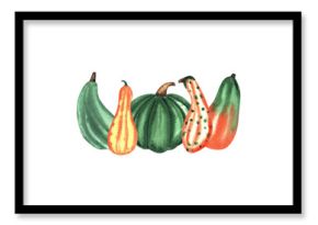 Autumn composition. Pumpkin isolated watercolor illustration for postcard, poster design. Vegetable pumpkin