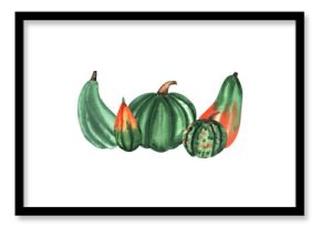 Autumn composition. Pumpkin isolated watercolor illustration for postcard, poster design. Vegetable pumpkin