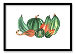 Autumn composition. Pumpkin isolated watercolor illustration for postcard, poster design. Vegetable pumpkin